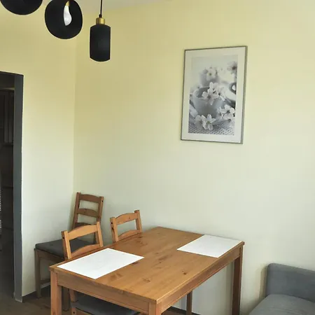 Apartment Mieszkanie Kawalerka Centrum Dw Fabryczna Parking Flat To Rent Lodz